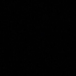 Meet your Posher, Armando